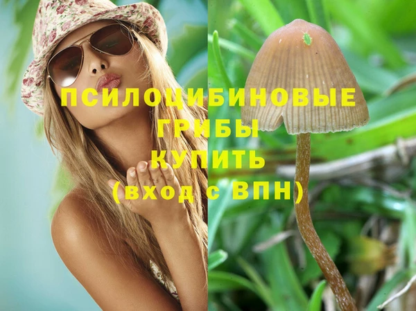 spice Абаза