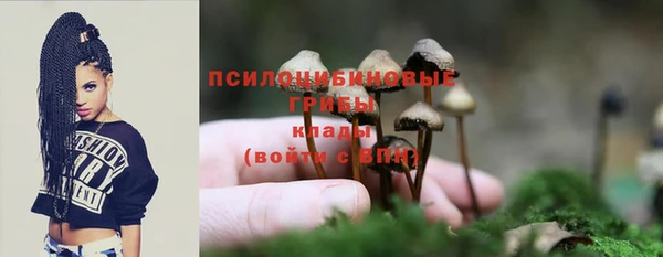 spice Абаза