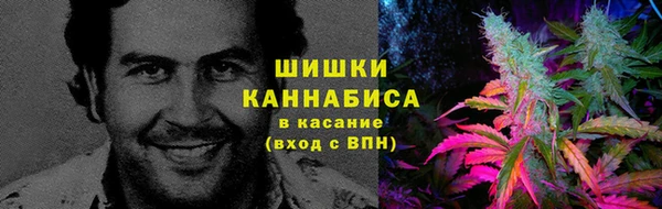 spice Абаза