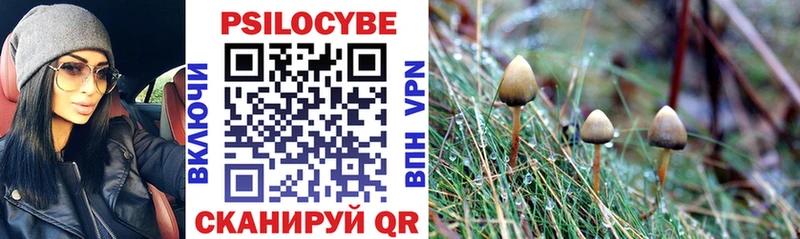 Галлюциногенные грибы Magic Shrooms  Вышний Волочёк 